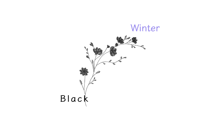 パーソナルカラーウィンターのベーシックカラー黒の色見本画像